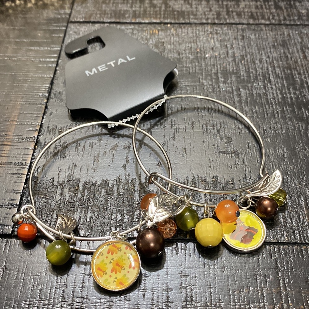 NWT Set Of 2 Kohl’s Metal Fall Themed Bangle Charm Bracelets!